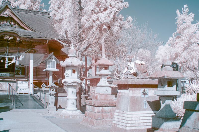 sakurahongngoai sakurahongngoai